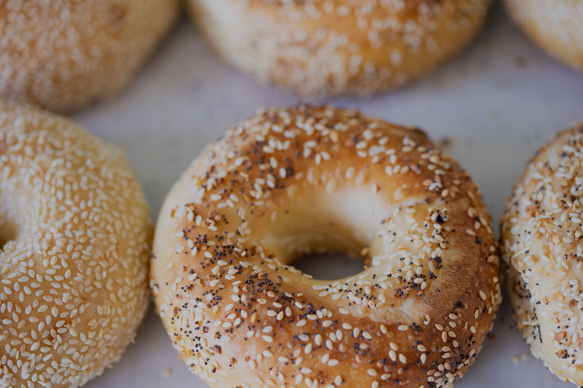 Photo of seasame Bagels at Beverly Hills Bagels